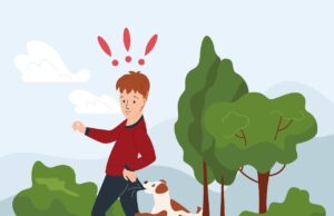 Bahaya Rabies Bagi Orang Yang Tergigit