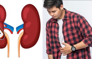 Yuk Ketahui Inilah Kebiasan Yang Bisa Merusak Ginjal