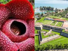 Yuk Kenali Lebih Dalam Tentang Provinsi Bengkulu