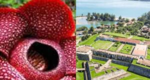 Yuk Kenali Lebih Dalam Tentang Provinsi Bengkulu