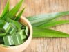 5 Manfaat Daun Pandan