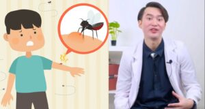 Gejala, Penyebab, dan Pencegahan Serta Pengobatan Pada DBD