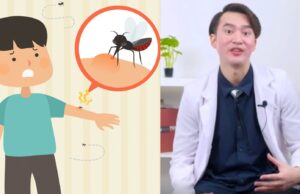 Gejala, Penyebab, dan Pencegahan Serta Pengobatan Pada DBD