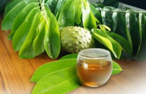 Intip Khasiat Daun Sirsak yang Kaya Akan Nutrisi