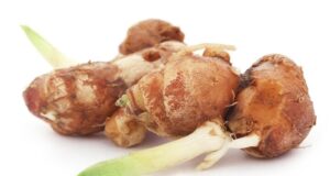 Manfaat Kencur Untuk Kesehatan