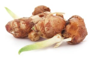 Manfaat Kencur Untuk Kesehatan