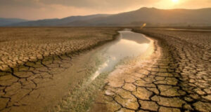 Apa Sih Kemarau Basah Itu? Yuk, Cari Tahu Jawabanya