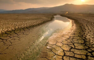 Apa Sih Kemarau Basah Itu? Yuk, Cari Tahu Jawabanya