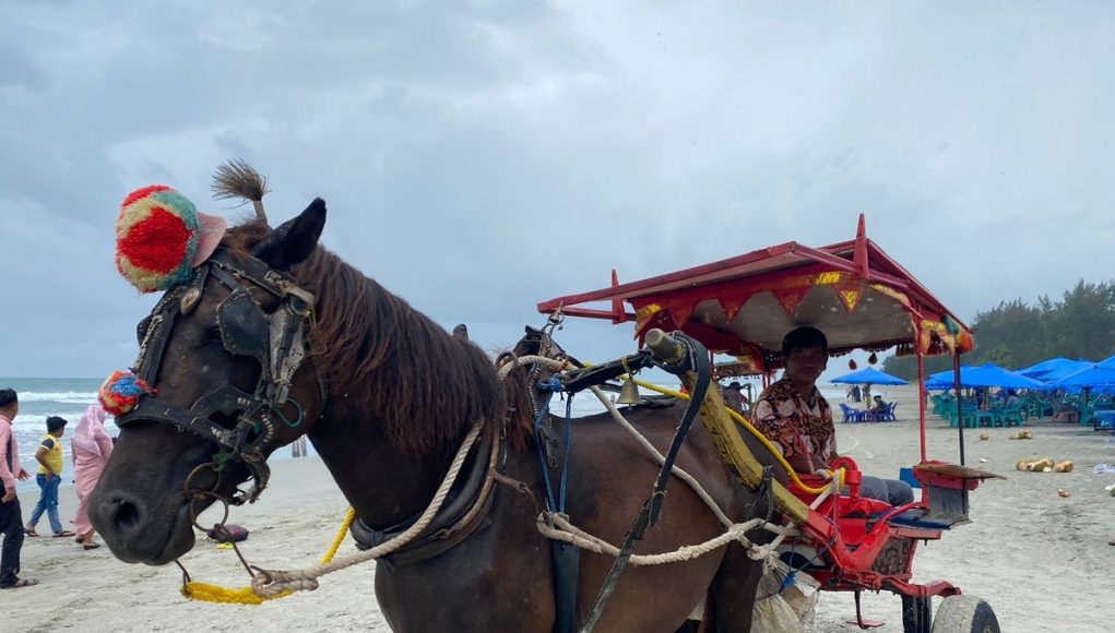 WhatsApp Image 2025-09-04 at 12.46.10